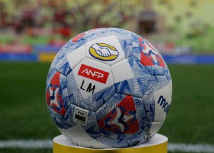 Copia de Imagen 700x500 - 2026-04-02T121545